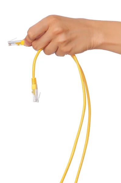 LAN cords — Stock Photo, Image