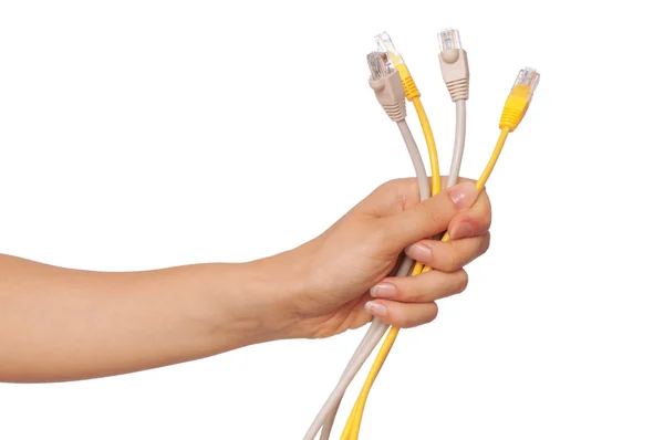 LAN cords — Stock Photo, Image