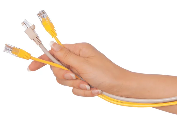 LAN cords — Stock Photo, Image