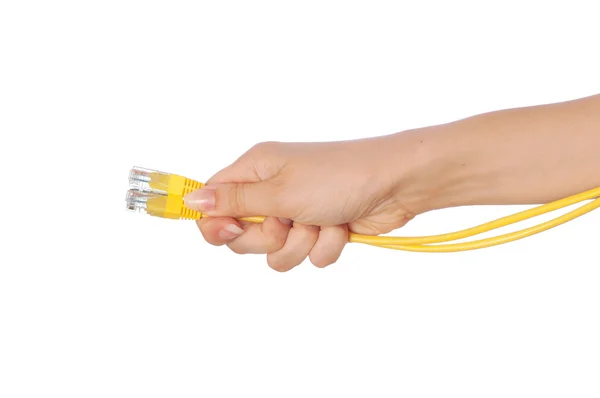 LAN cords — Stock Photo, Image