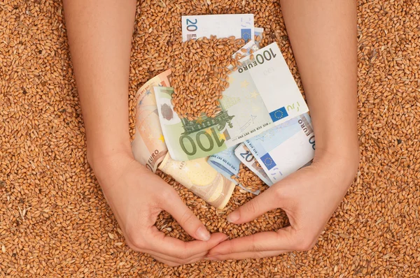 Monetary crop — Stock Photo, Image