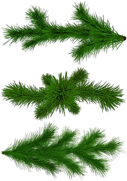 Conjunto de ramos de abeto verde de Natal — Fotografia de Stock