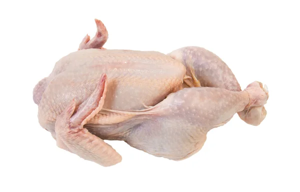 Rohes Huhn — Stockfoto