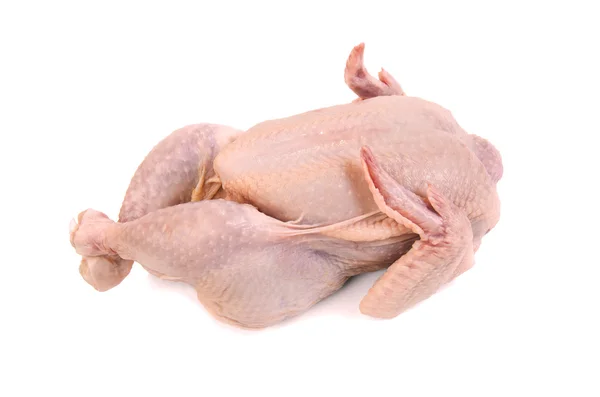 Broiler chiken — Stock Photo, Image