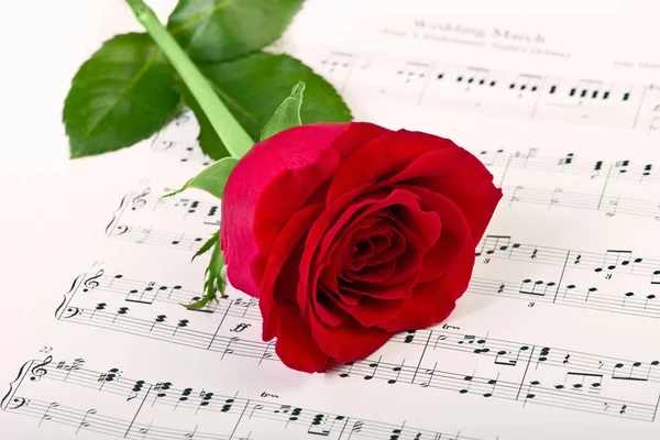 Rosa roja y música — Foto de Stock
