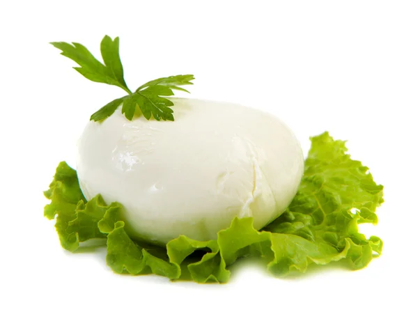 Ser mozzarella — Zdjęcie stockowe