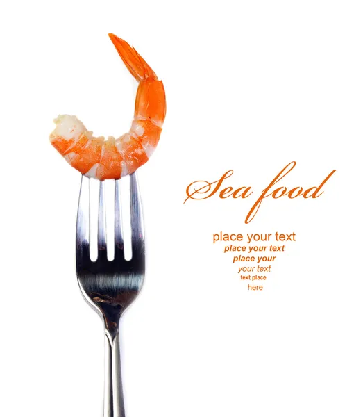 Shrimp on fork — Stock Photo, Image