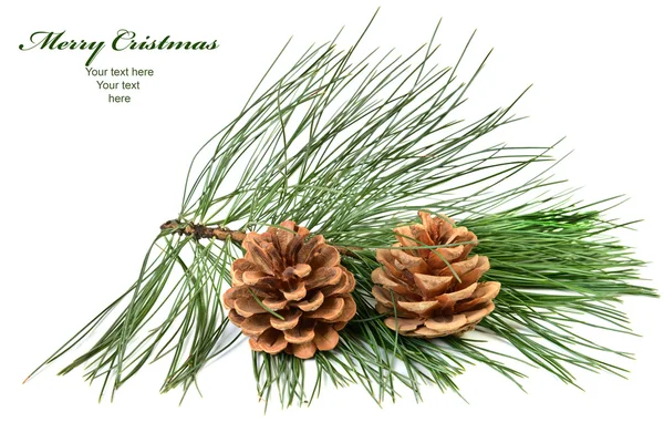 Christmas card — Stock Image Christmas card Stock Image