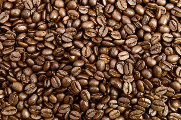 Coffee beans — Stock Photo, Image