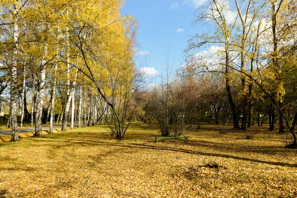 Parque de otoño — Foto de Stock