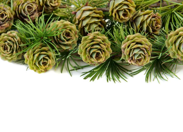 Christmas background — Stock Image Christmas background Royalty Free Stock Photos