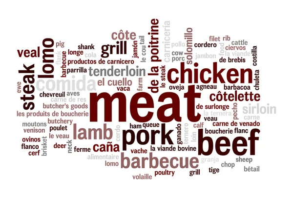 Meat variations word cloud — Stock Photo, Image