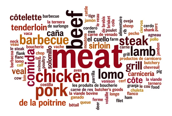 Meat variations word cloud — Stock Photo, Image
