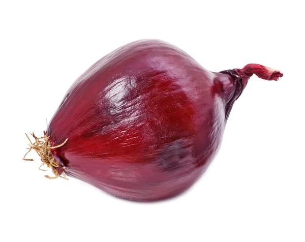 Red onion — Stock Photo, Image