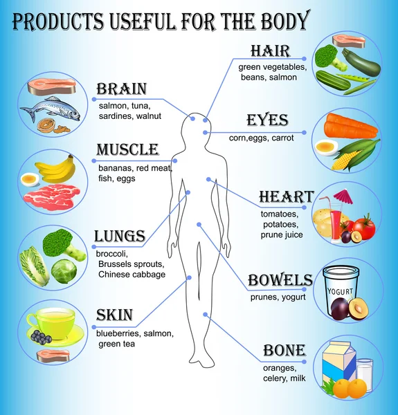 De productos útiles para el cuerpo humano — Vector de stock