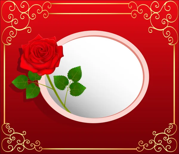 Tarjeta de fondo con rosa roja y espacio para texto — Vector de stock