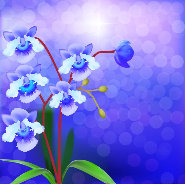 Orquídea Bush violeta sobre un fondo luminoso — Vector de stock