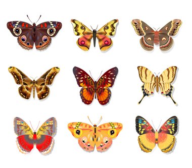 Beyaz arka plan üzerinde güzel kelebek set