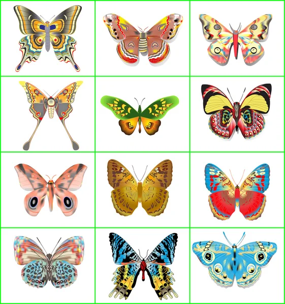 Conjunto de mariposas decorativas sobre fondo blanco — Archivo Imágenes Vectoriales