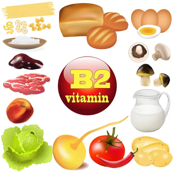 De dos vitaminas b en productos vegetales y animales El origen de la — Vector de stock