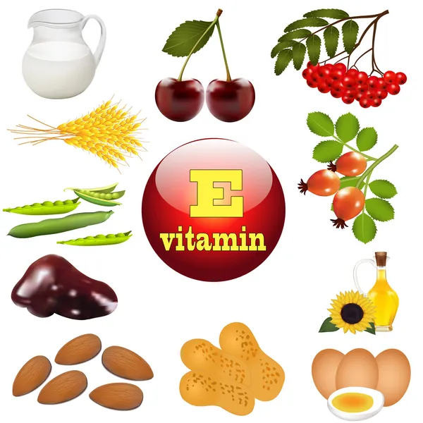 Ilustración vitamina E el origen de los alimentos vegetales — Vector de stock