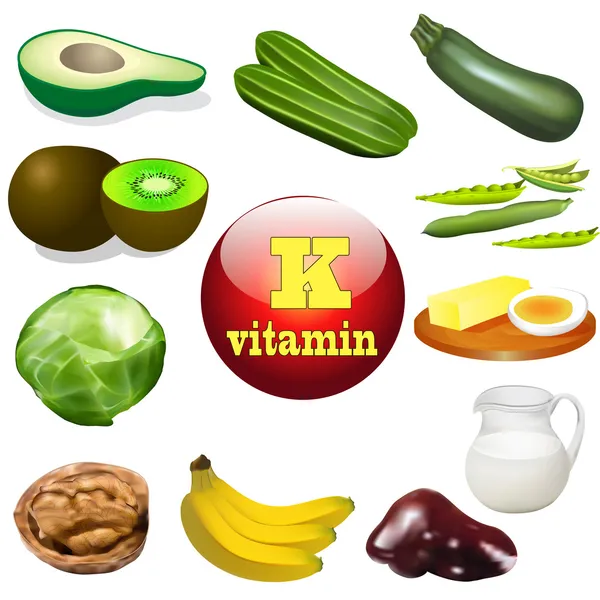 Vitamine K produits végétaux et animaux — Image vectorielle