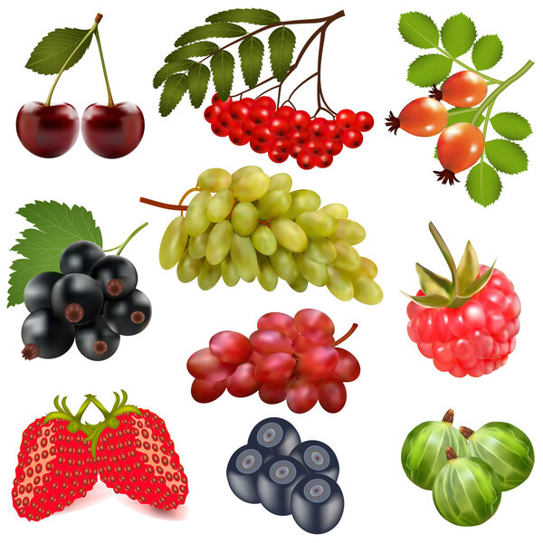  set of ripe berries on a white background