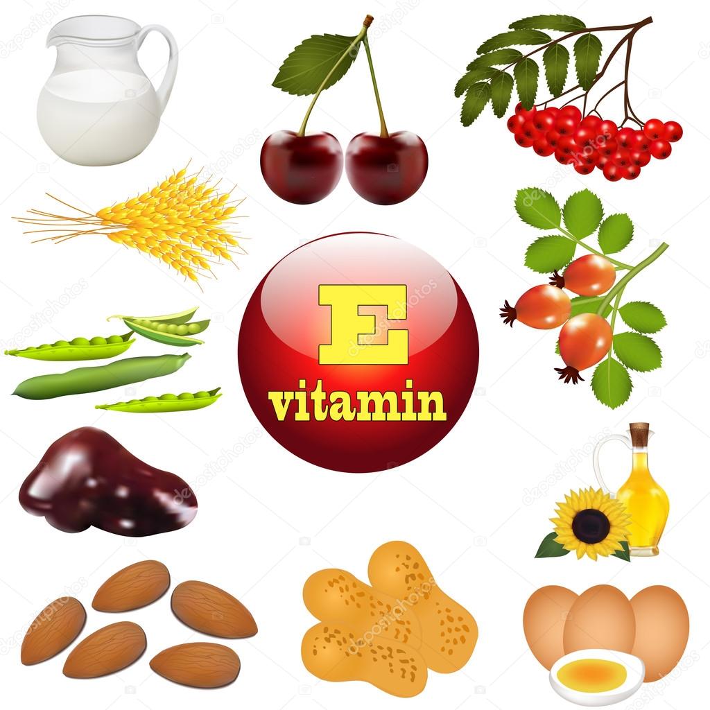 illustration  vitamin E the origin of the plant foods