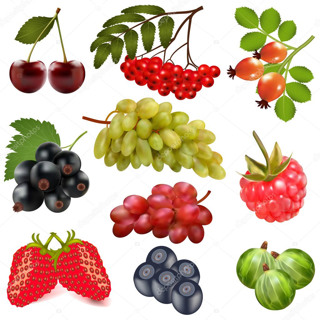  set of ripe berries on a white background