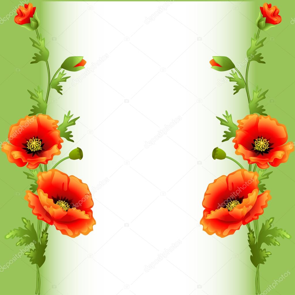  background with bright flowers poppy for advertising
