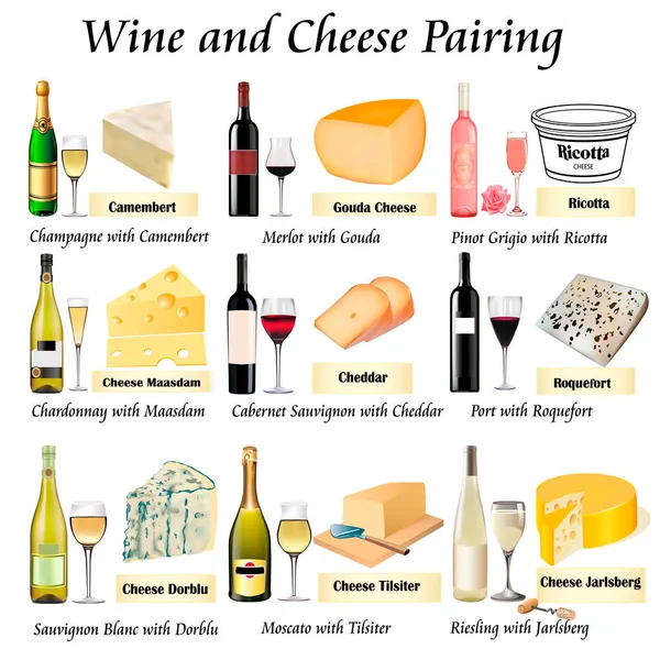 Gurme Şarap Peynir Kombinasyonu Tablo Çizimi — Stok Vektör