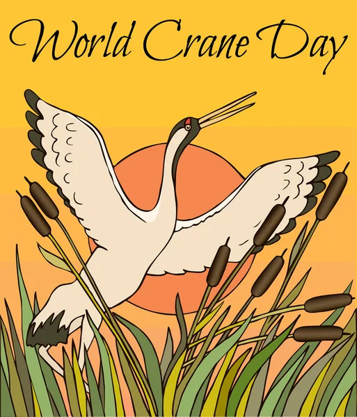 Ilustración Tarjeta Felicitación Del Día Mundial Grulla Con Pájaro Atardecer — Archivo Imágenes Vectoriales