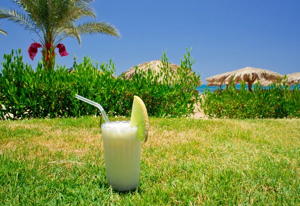 Tasty pina colada na grama . — Fotografia de Stock