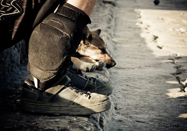 Perro durmiente cerca de las piernas de su amo —  Fotos de Stock