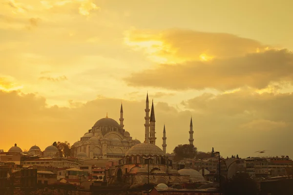 Mesquita em Istambul — Fotografia de Stock