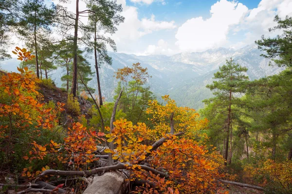 Осень в горах — стоковое фото