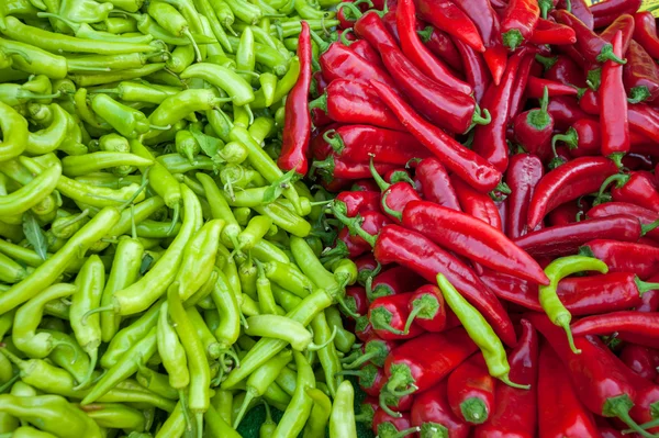 Pimientos rojos y verdes —  Fotos de Stock