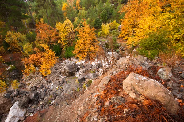 Autunno in montagna — Foto Stock