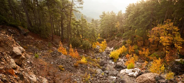 Mglisty poranek jesienią w górach — Zdjęcie stockowe