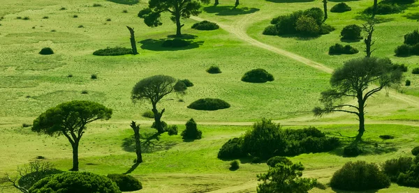 Parco verde — Foto Stock