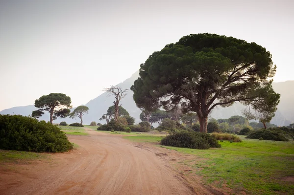 Road trip — Stock Photo, Image