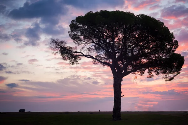 Promenade au coucher du soleil — Photo