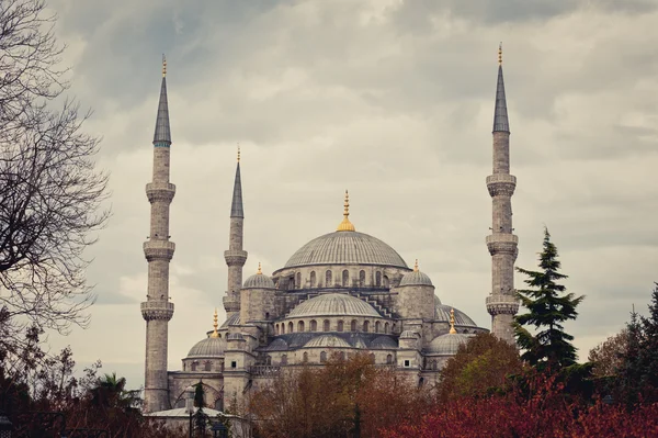 İstanbul 'da cami, hindi — Stok fotoğraf