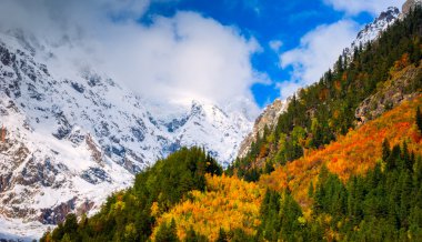 sonbahar orman karşı dağlar