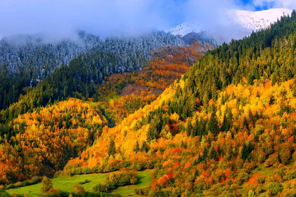 Herfst — Stockfoto