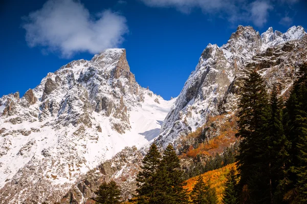 Montagne montane — Foto Stock