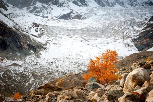 Montanhas do Cáucaso perto do glaciar — Fotografia de Stock