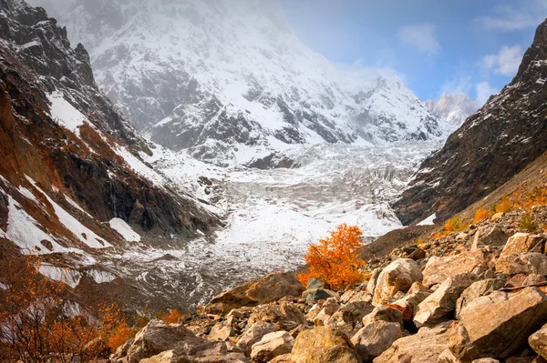 Осень в леднике — стоковое фото