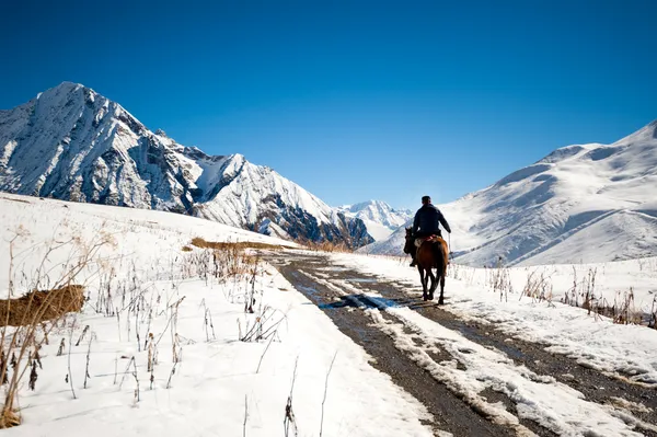 Rider w górach z Gruzji — Zdjęcie stockowe