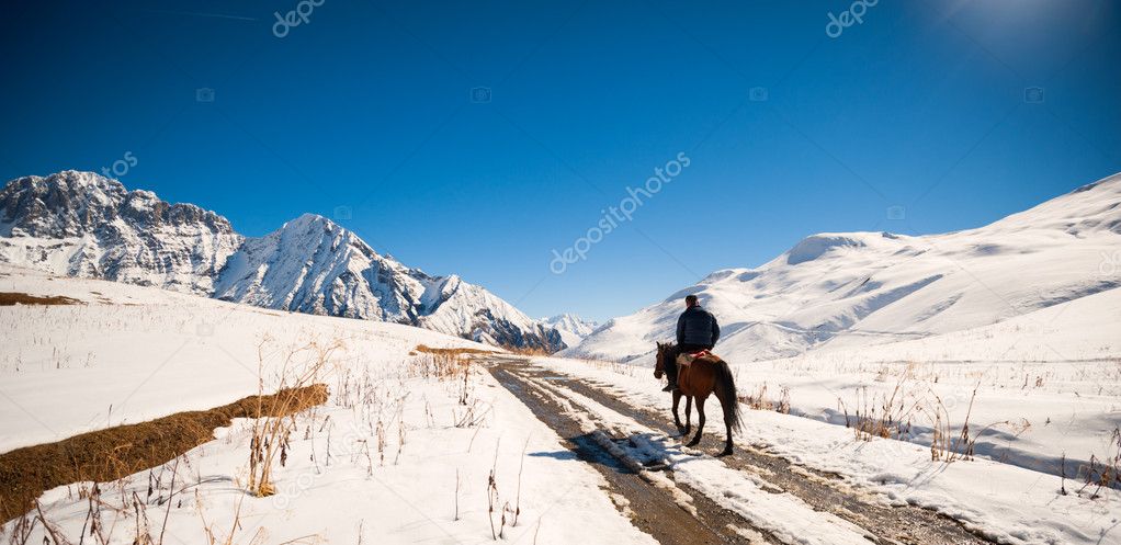 a man on a horse in the mountains